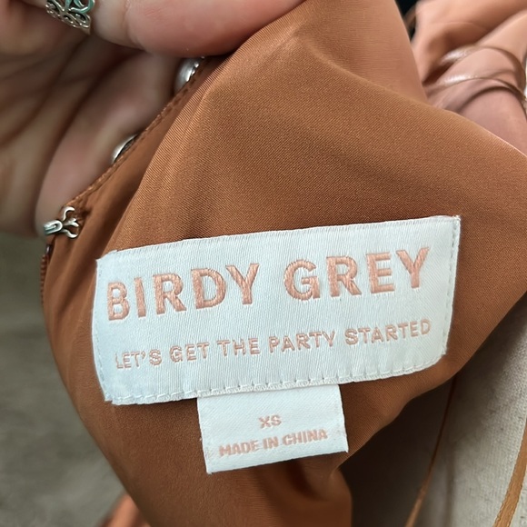 Birdy Grey Jay Dress
Shiny Satin Rust - Picture 4 of 15